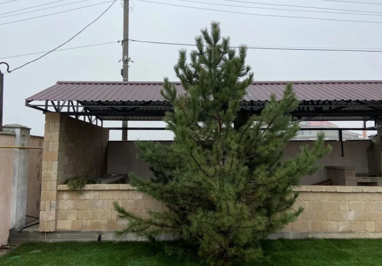 15_2020 image-04-12-24-09-55-10.jpeg