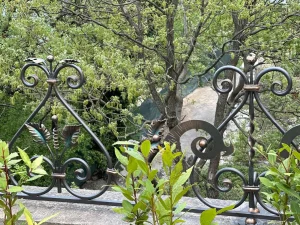 31_2024 photo_27_2024-05-10_10-18-40.jpg