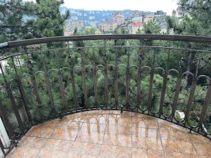 4_2012 photo_33_2024-06-16_11-32-28.jpg